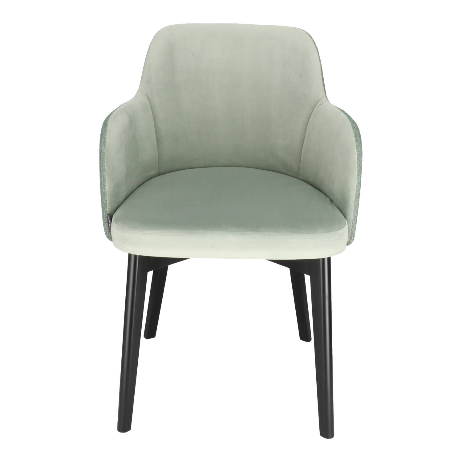 T JANEIRO ARM Mint elegant Upholstered indoor chair
